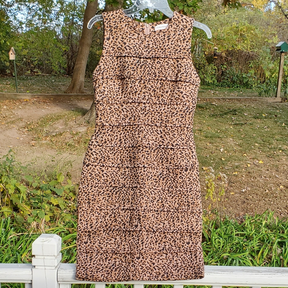 Calvin Klein dress, size 4 (more like 2)